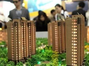 政府房子可以买吗