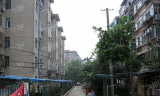 晏公庙西村二手房