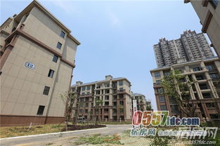 太谷天丽新都房子好么