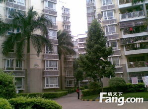 深圳朝北房子好吗 深圳朝北房子好吗