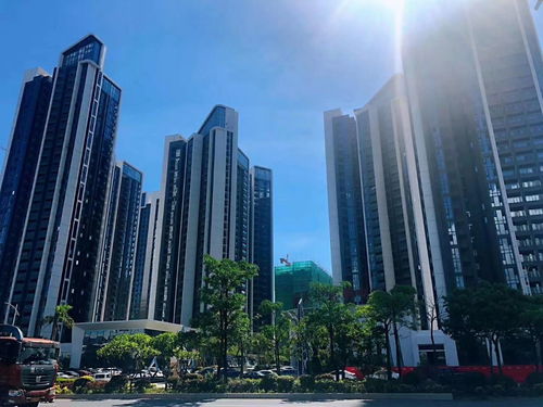 大亚湾西区最好的楼盘