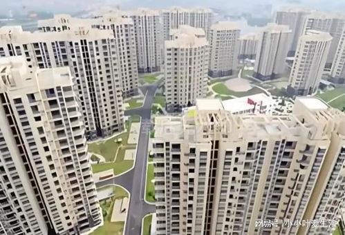 哪个城市房子不限购