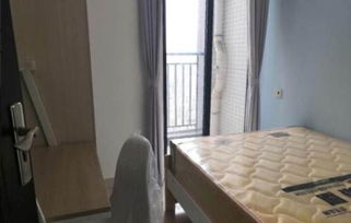 江西农大租房子