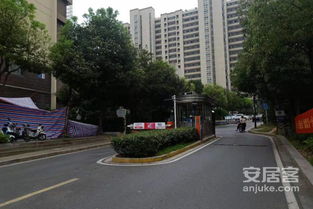 紫金墨香苑二手房出售