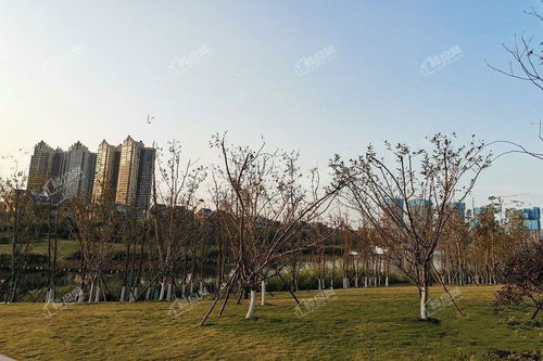 常德柳叶湖保利楼盘