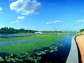 长春南湖公园附近楼盘