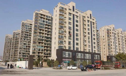 龙港有房子拍卖吗