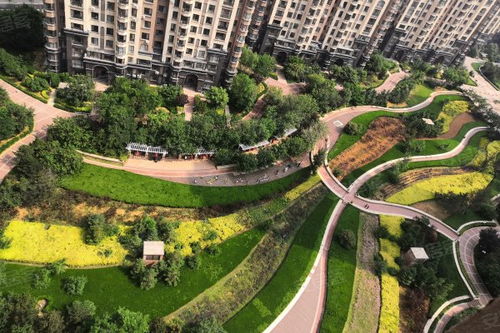 秦皇半岛物业费