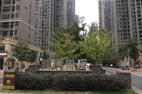 观澜国际物业费