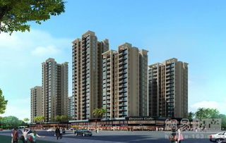 珠海哪里房子性价比高