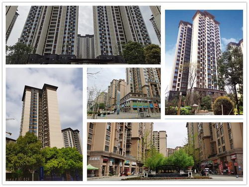 成都新津县房价 成都新津县房价