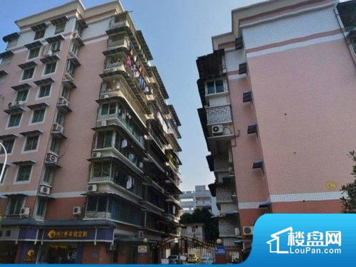 深圳菁华小区 深圳菁华小区