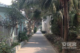 华阳芙蓉小区 华阳芙蓉小区