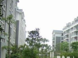 南宁中兴小区 南宁中兴小区