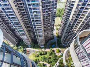 沈阳奥园物业 沈阳奥园物业