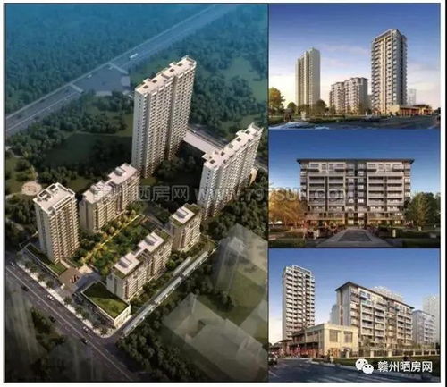 赣州新楼盘房价