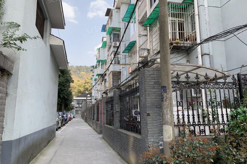 杭州曙光小区 杭州曙光小区