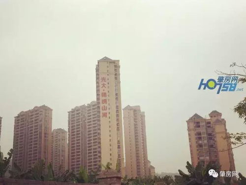 肇庆哪个楼盘风水最好