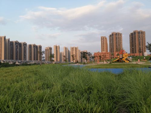 广州牛奶厂地块楼盘