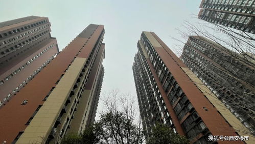 华远枫悦楼盘售价