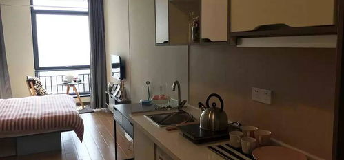 杭州青年公寓出租 杭州青年公寓出租