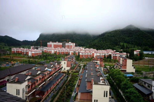 桐梓有哪些避暑楼盘