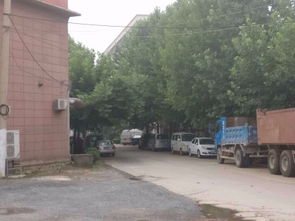 金石鑫小区二手房