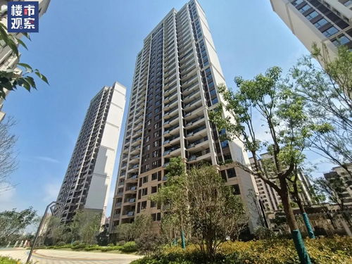 六安振兴城房价