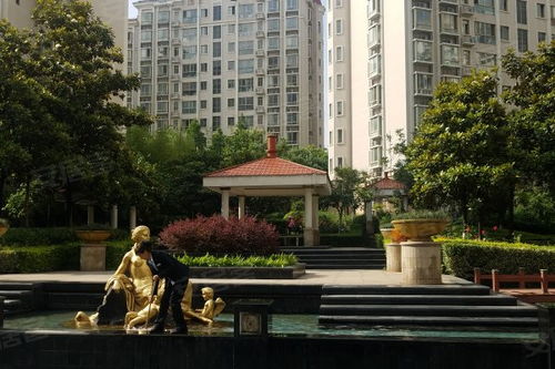 西安曲江6号房价