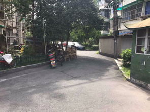 朝晖八小区 朝晖八小区