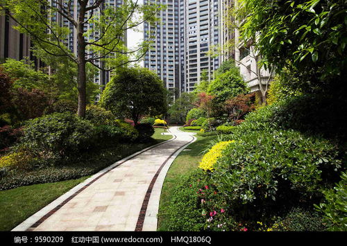 小区景观意向图