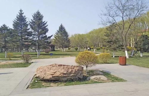 2017安阳铁西楼盘