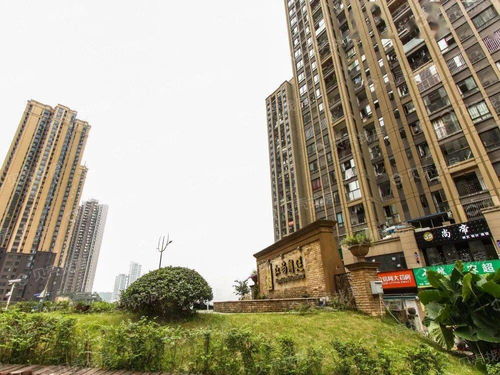 渝中区里面楼盘