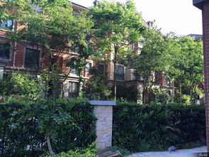 江宁天泽苑二手房