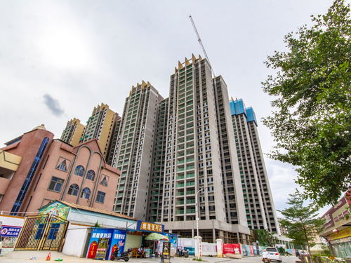 卓越维港楼盘详情