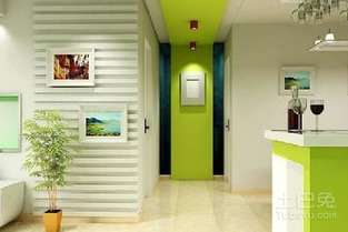 刚装修好的房子里放什么吸收甲醛