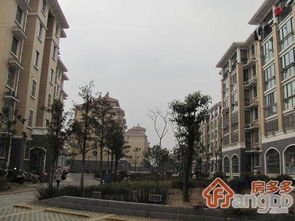 金华白龙桥二手房