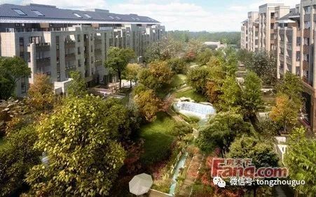 通州京州园物业