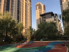 洛阳香榭丽舍楼盘怎样