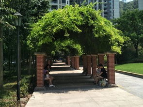 重庆首创物业 重庆首创物业