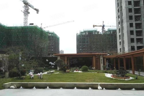 一品南山房子怎么样