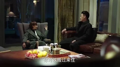 我的前半生贺涵的房子