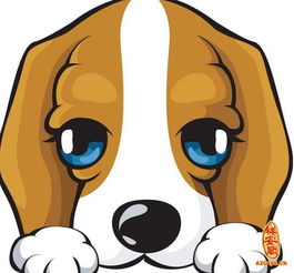 属狗买房子几楼最好风水学