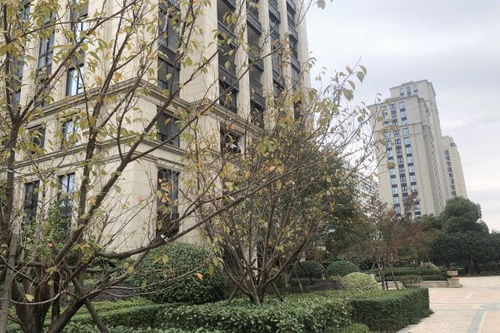 御庭壹号的房子怎么样