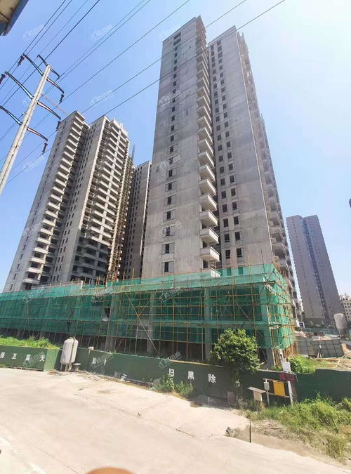 沣渭怡心岛房子怎么样 沣渭怡心岛房子怎么样