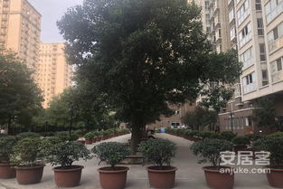 金辉悦府的房子怎么样 金辉悦府的房子怎么样