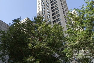 沈阳万科春河里房价