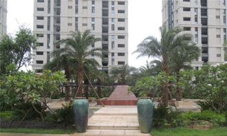 软件园三期公寓