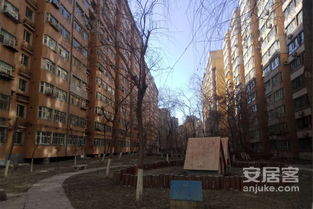 乌鲁木齐市红十月小区