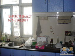 武汉丰竹园小区二手房